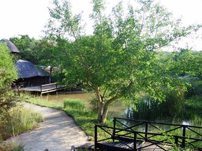 фото отеля Marc's Treehouse Lodge