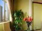 фото отеля New Beacon New Times International Hotel