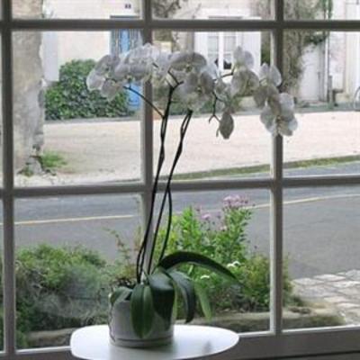 фото отеля Hotel Saint Nicolas La Rochelle