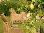 фото отеля Borgo Santo Pietro