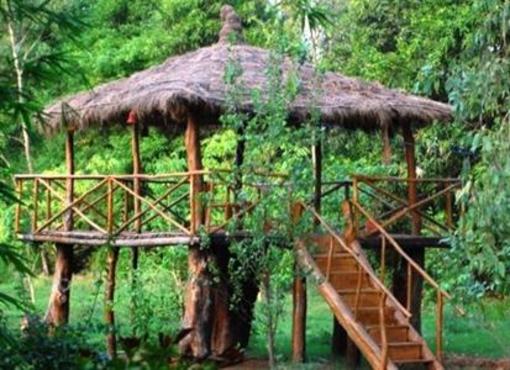фото отеля Mogli Jungle Resort