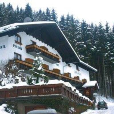 фото отеля Gurtl Panoramahotel Haus im Ennstal