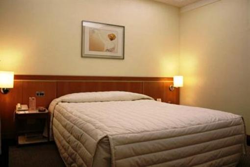 фото отеля Nikkey Palace Hotel