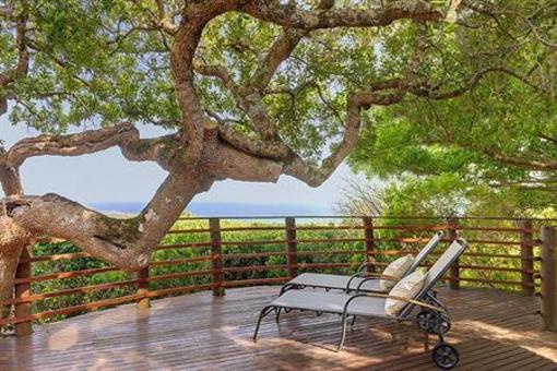 фото отеля Grootbos Private Nature Reserve Lodges Gansbaai