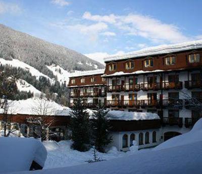 фото отеля Alpen Hotel Weitlanbrunn