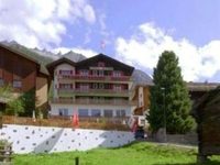 Alpina Hotel Grachen