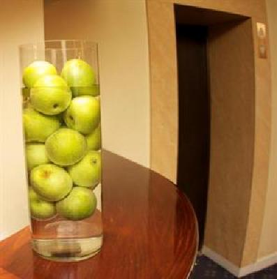 фото отеля Green Apple Hostel