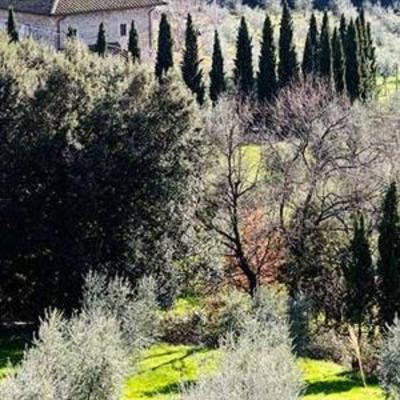 фото отеля Villa Giorgia - Albergo in Collina