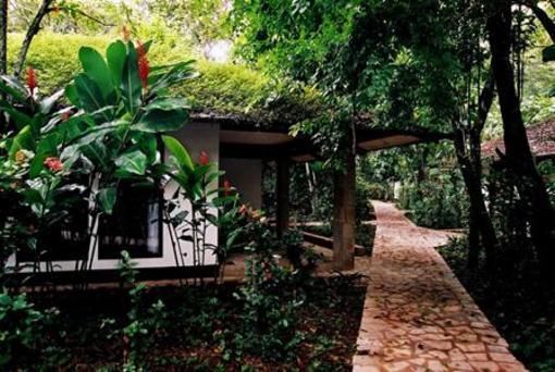 фото отеля Hotel Chan-Kah Centro Palenque