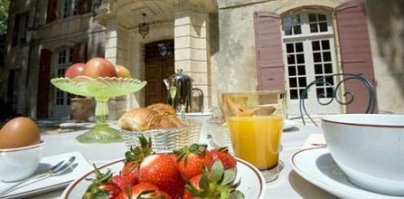фото отеля Chateau de Roussan Saint-Remy-de-Provence