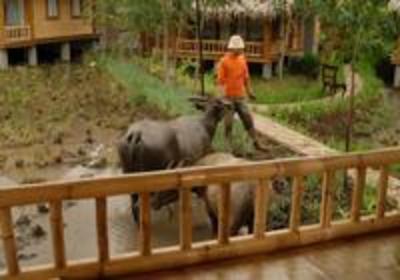 фото отеля Mulih Ka Desa Hotel