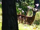фото отеля Sud-Ovest