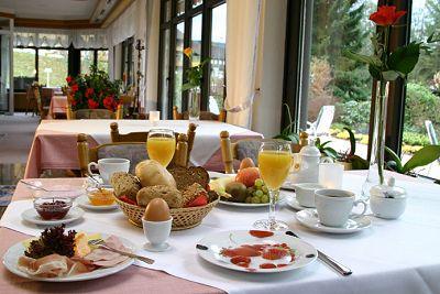 фото отеля Hotel Terra-Nova