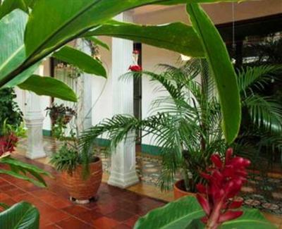 фото отеля La Casa Del Santisimo Mango