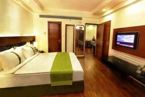 фото отеля Holiday Inn Jaipur