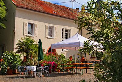 фото отеля Weingut Gastehaus und Krauterhof