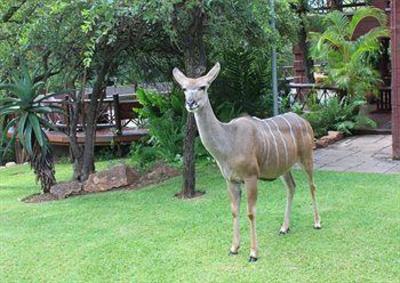 фото отеля Grand Kruger Lodge