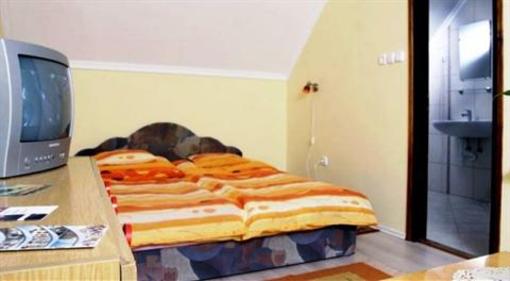 фото отеля Rozsa Apartman