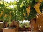 фото отеля Son Trobat Hotel Sant Llorenc des Cardassar