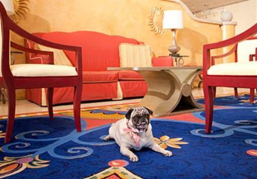 фото отеля Ventura Beach Marriott