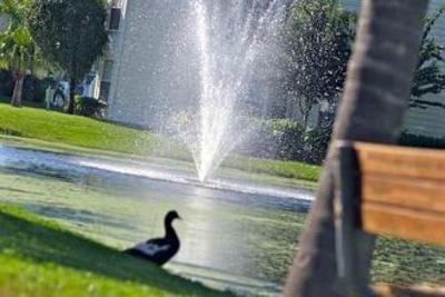 фото отеля Magical Memories Villas Kissimmee