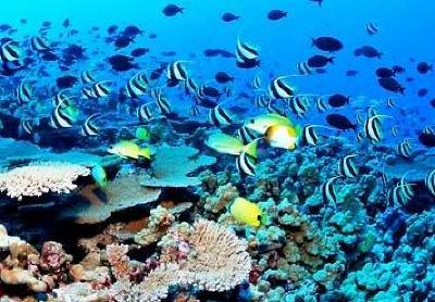 фото отеля Sharm El Sheikh Marriott Resort