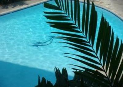 фото отеля Oceanfront Condo in the Heart of Kona Village