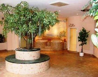 фото отеля Center Hotel Schlangenbader Hof