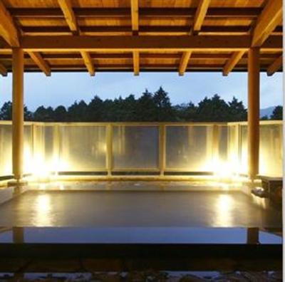 фото отеля Hotel Hakone Powell