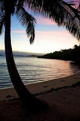 фото отеля Wananavu Beach Resort