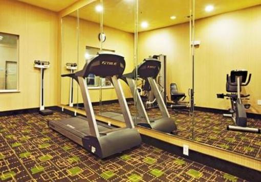 фото отеля Holiday Inn Express Hotel & Suites Shamrock North