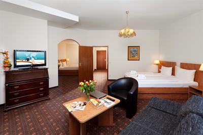 фото отеля Hotel Maximilian Weil am Rhein