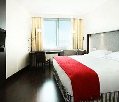 фото отеля Hotel Nh Lyon Aeroport
