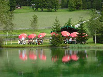 фото отеля Forellenhof Hotel Flachau
