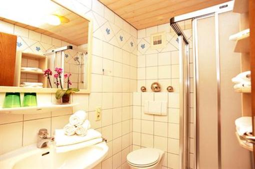 фото отеля Forellenhof Hotel Flachau