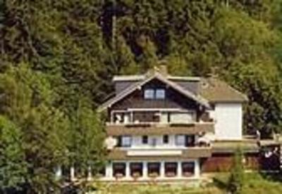 фото отеля Harzhotel zur Schmiede