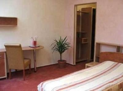 фото отеля Hotel Phoenix