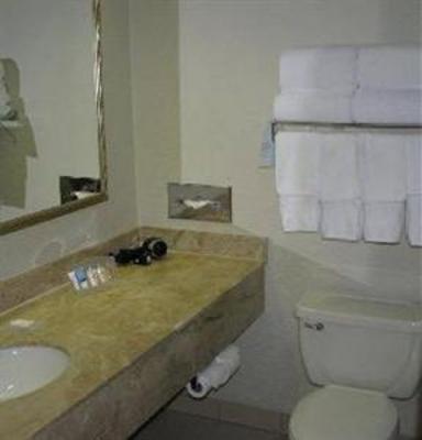 фото отеля Doubletree Hotel Itasca Wood Dale