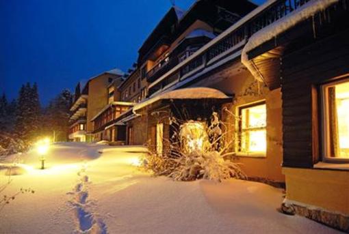 фото отеля Alpenhotel Goesing