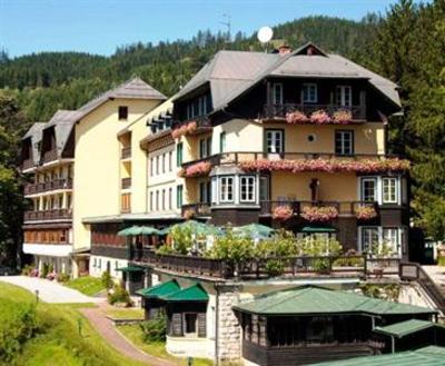 фото отеля Alpenhotel Goesing