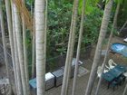 фото отеля Banyan View Lodge