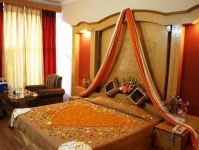 фото отеля Hotel Daffodil Manali