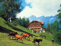 Bauernhof Bankwirt