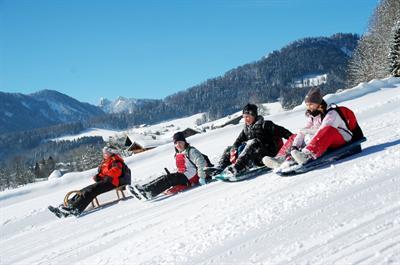 фото отеля Hotel Diana Ruhpolding