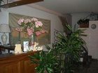 фото отеля Hotel Corso Orvieto