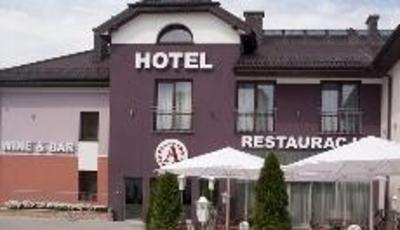 фото отеля Hotel Restauracja Arti