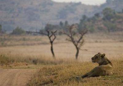 фото отеля Kololo Game Reserve