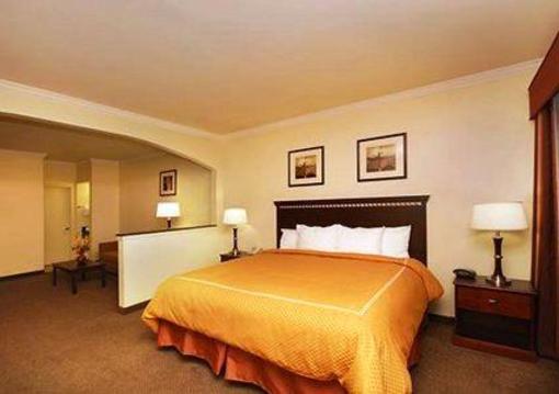 фото отеля Comfort Suites Aggieland