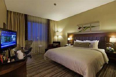 фото отеля Hilton Garden Inn Kutahya