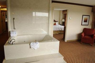 фото отеля Hilton Garden Inn Detroit Southfield